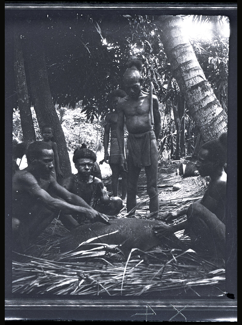 [Manum Island, New Guinea] Tiboiŋ and Others Cutting up Bazaba&rsquo;s Pig