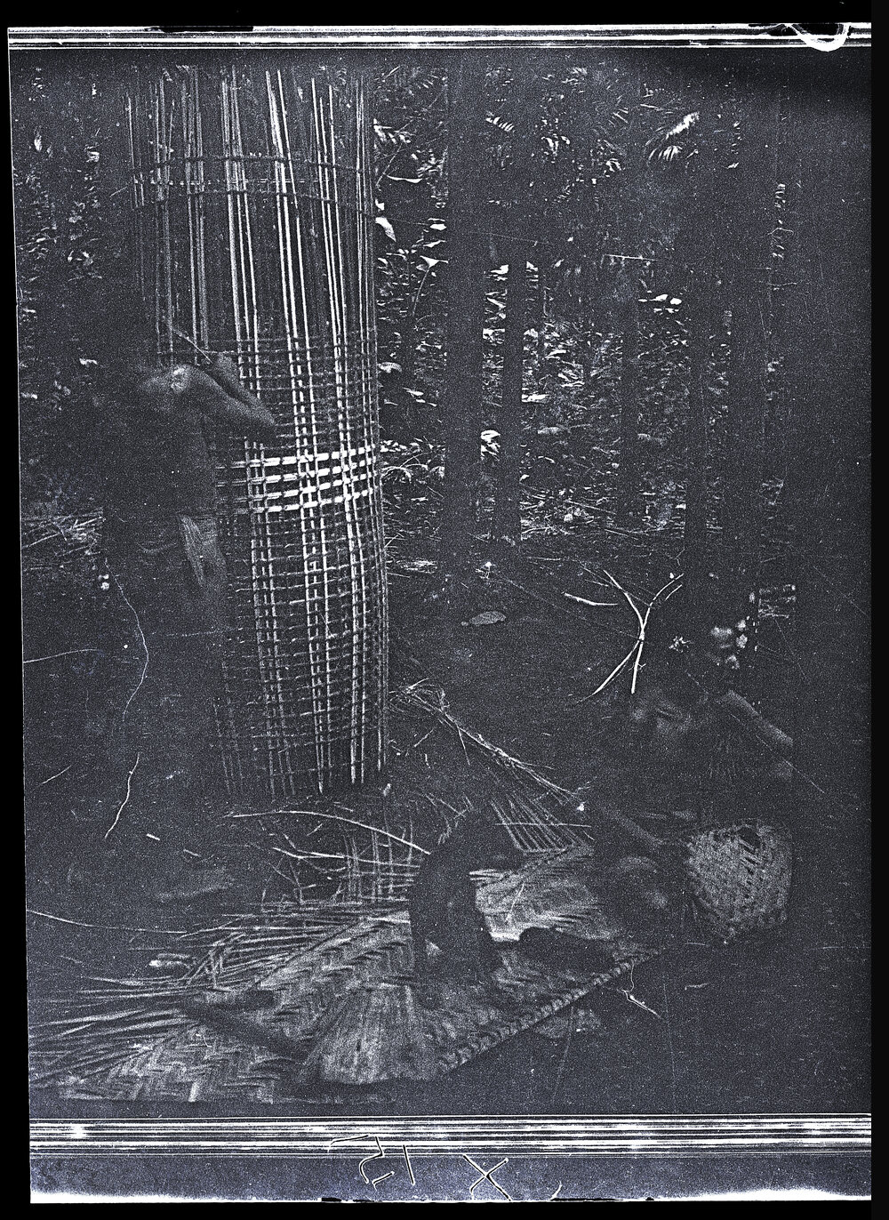 [Manum Island, New Guinea] Making a Large Fish Trap