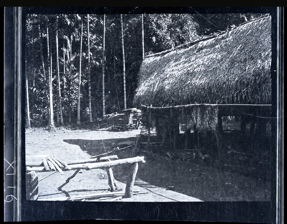 [Manum Island, New Guinea] Hanks of Dyed Fibre Drying on a Long Pole set up Outside Moinzo&rsquo;s House