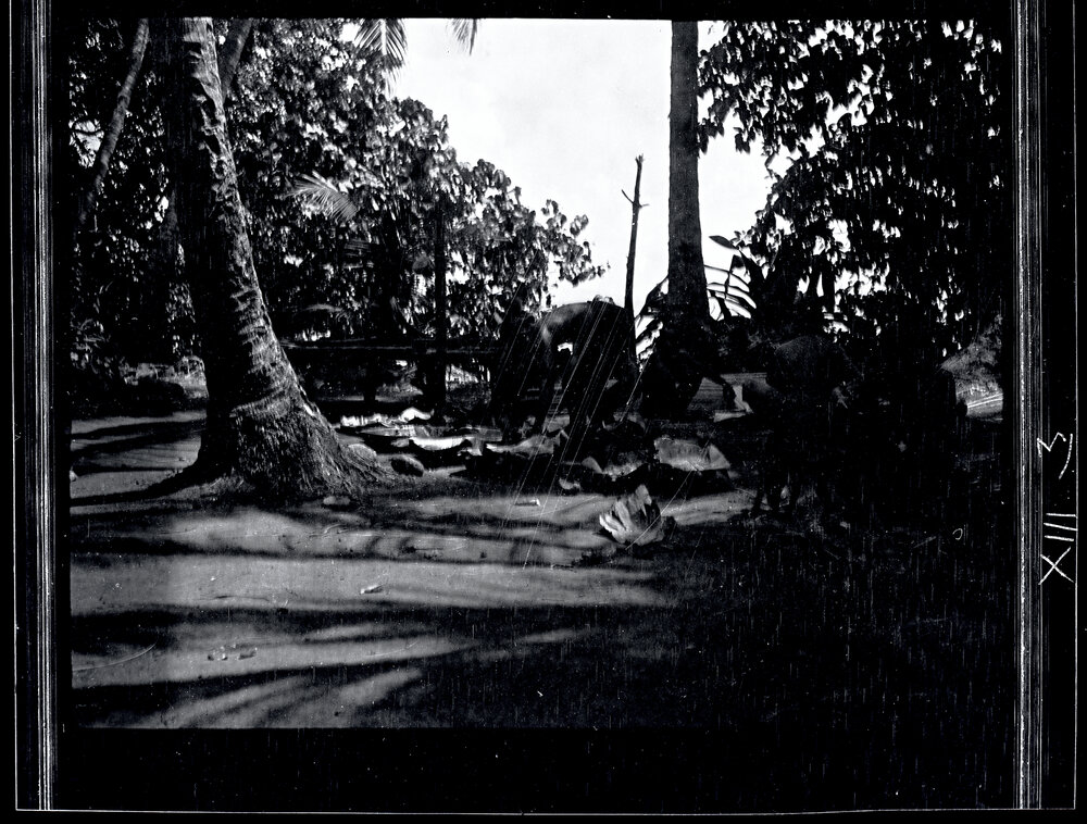 [Manum Island, New Guinea] Discussing how the Plates are to be Divided