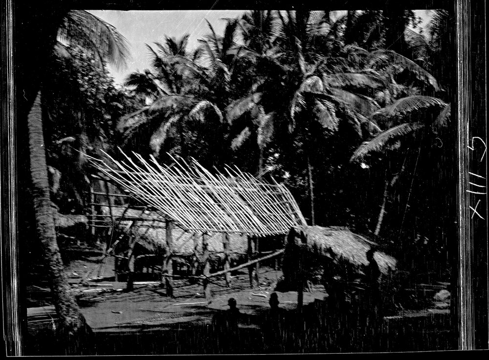 [Manum Island, New Guinea] Putting up and Lashing the Framework to the Roof, Preparatory to Thatching