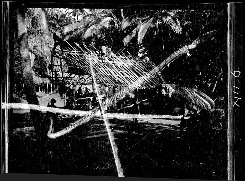 [Manum Island, New Guinea] Putting up and Lashing the Framework to the Roof, Preparatory to Thatching