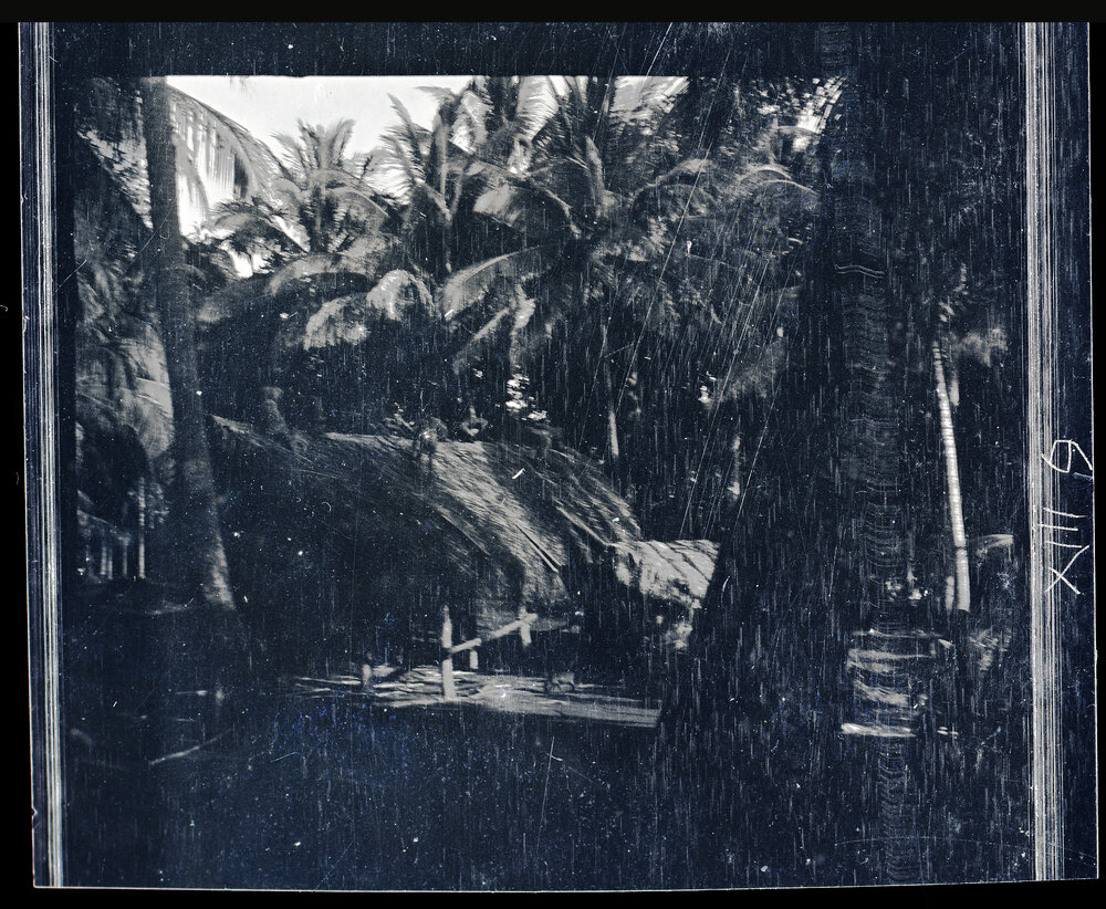 [Manum Island, New Guinea] Thatching Nearly Done
