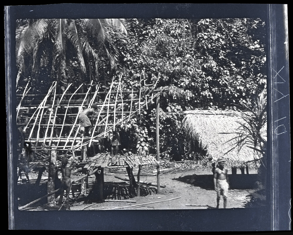 [Manum Island, New Guinea] Laying the Ara Poles Preparatory to Rethatching