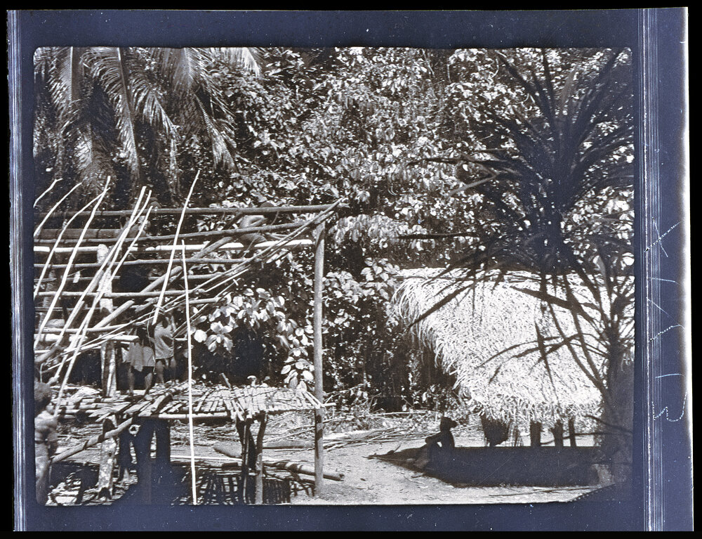 [Manum Island, New Guinea] Beginning to Put up the Ara
