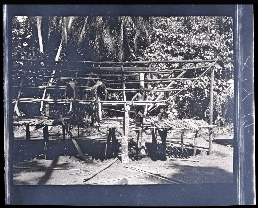 [Manum Island, New Guinea] Fixing One of the Horizontal Poles Along the Eaves