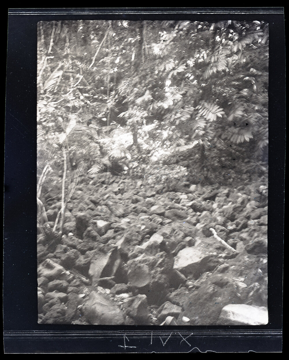 [Manum Island, New Guinea] A Dry Boulder Strewn Water Course Near Bodua