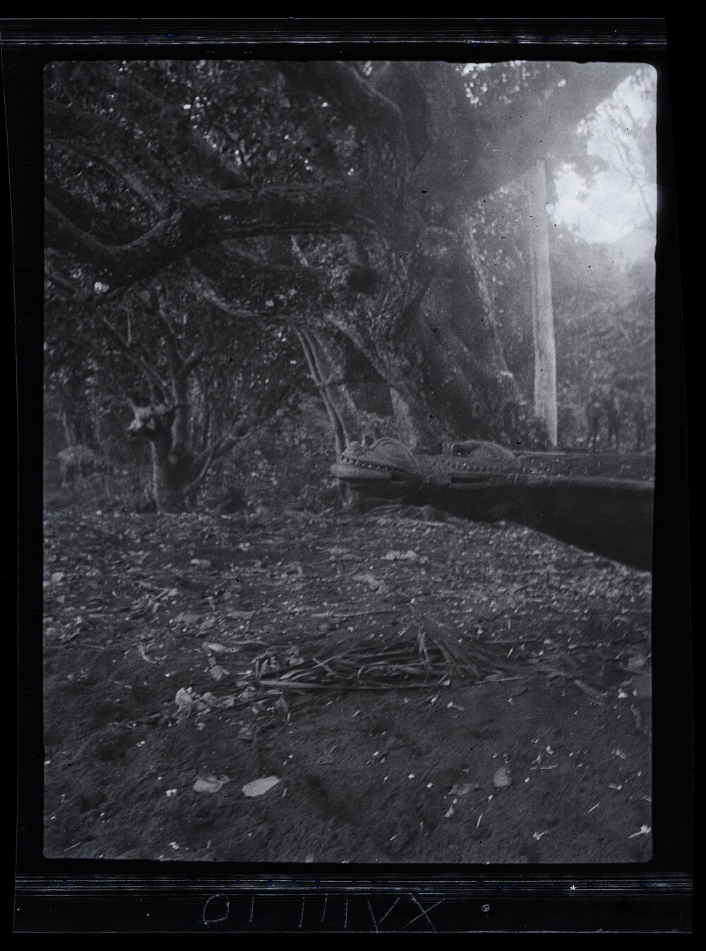 [Manum Island, New Guinea] One of the Morupu (Carved Masks) on the Prow of a Waia Canoe