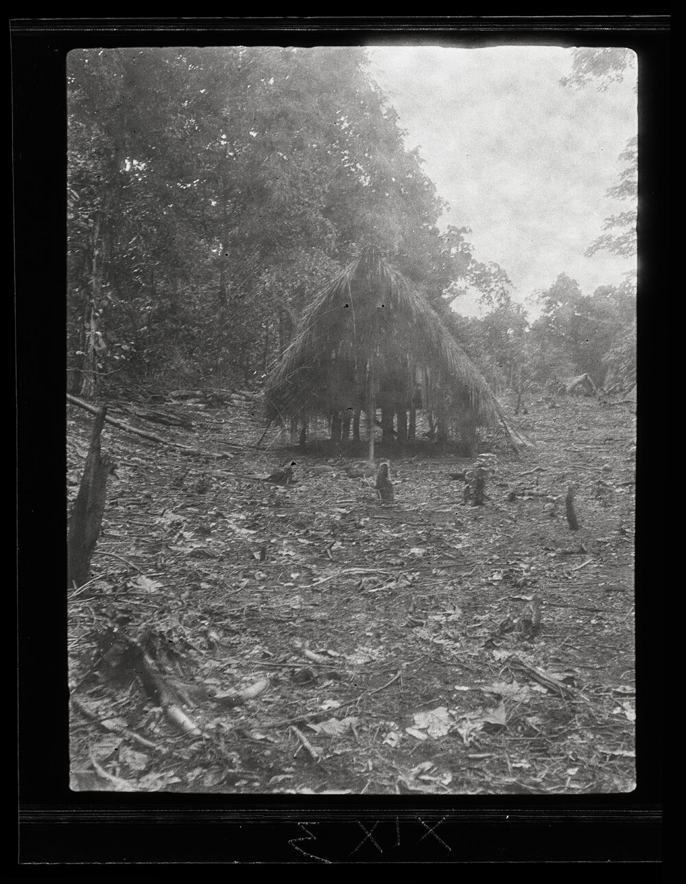[Manum Island, New Guinea] House of the Chief of Waia Showing the Decorations