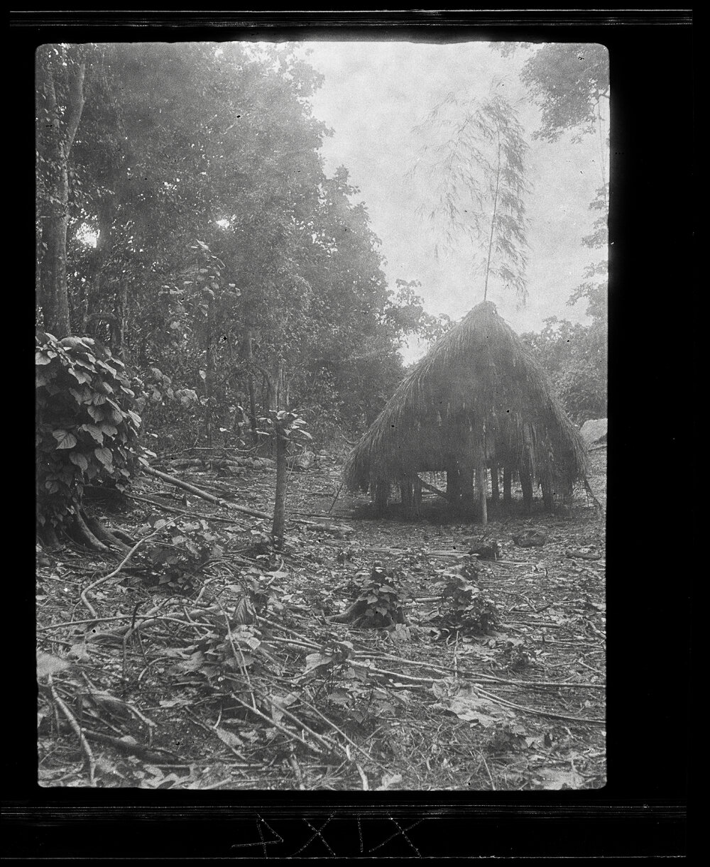 [Manum Island, New Guinea] House of the Chief of Waia Showing the Decorations