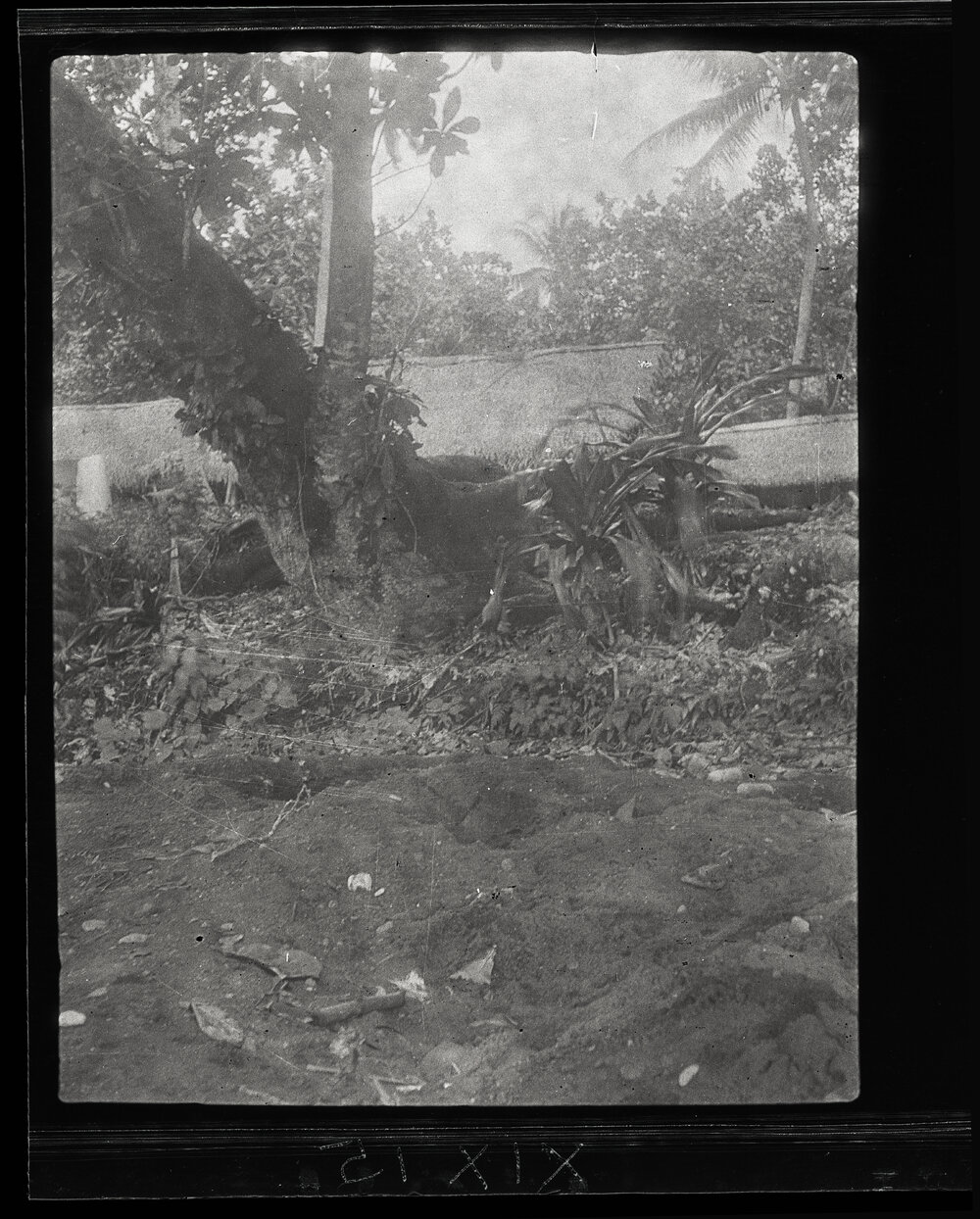 [Manum Island, New Guinea] The Waia Water Holes Below my [Wedgwood's] House