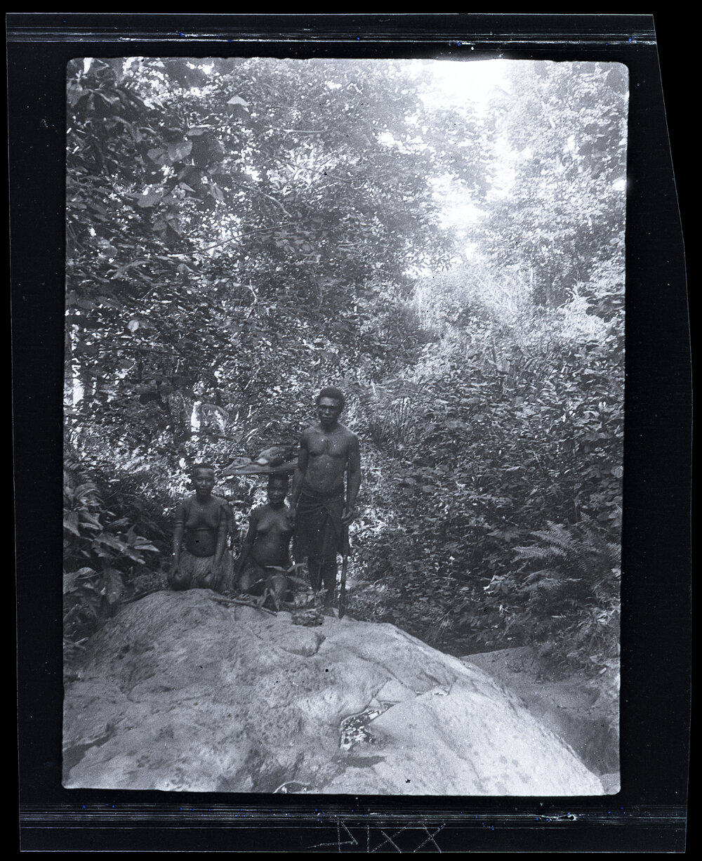 [Manum Island, New Guinea] In One of the Gulleys in the Bush (Looking West)