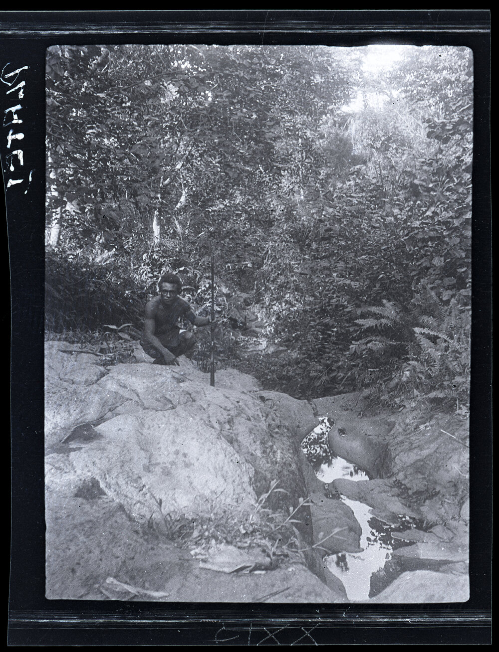 [Manum Island, New Guinea] In One of the Gulleys in the Bush (Looking West)