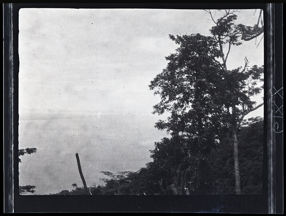 [Manum Island, New Guinea] View of the Mainland from Mamboti&rsquo;s New Garden at a Height of 2500 ft [feet]