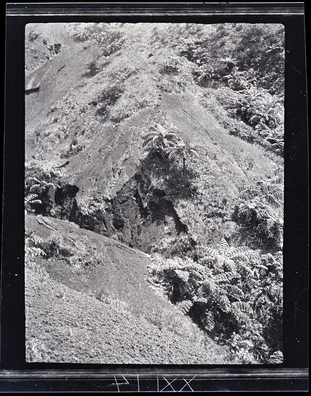 [Manum Island, New Guinea] Cinders and Gulleys