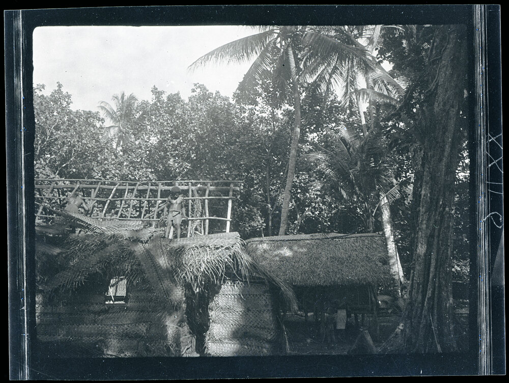 [Manum Island, New Guinea] Removing Old Thatch From my [Wedgwood] House