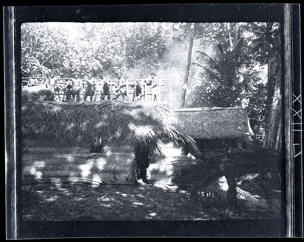 [Manum Island, New Guinea] Rethatching my [Wedgwood] House