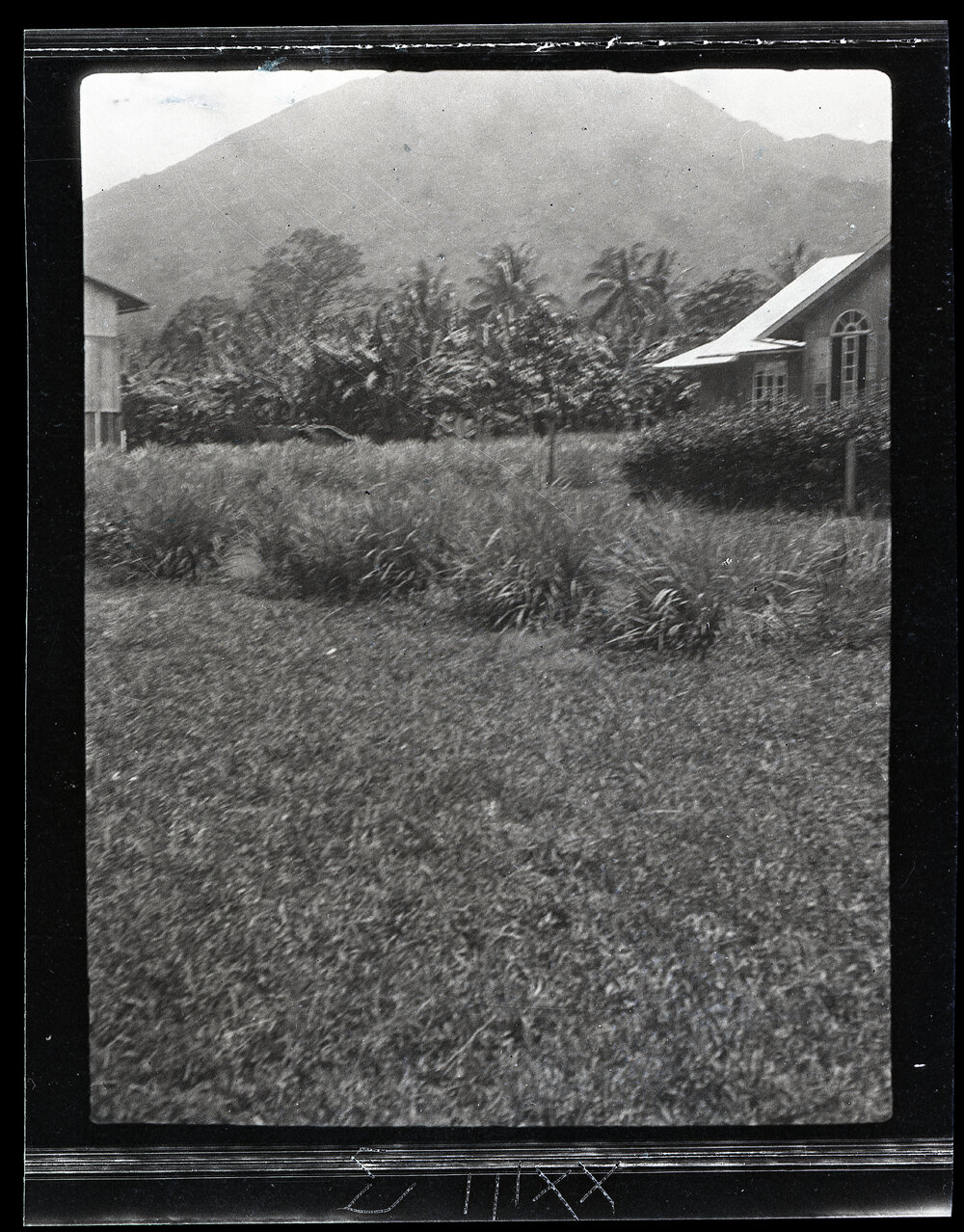 [Manum Island, New Guinea] Manam Mountain from Bieŋ