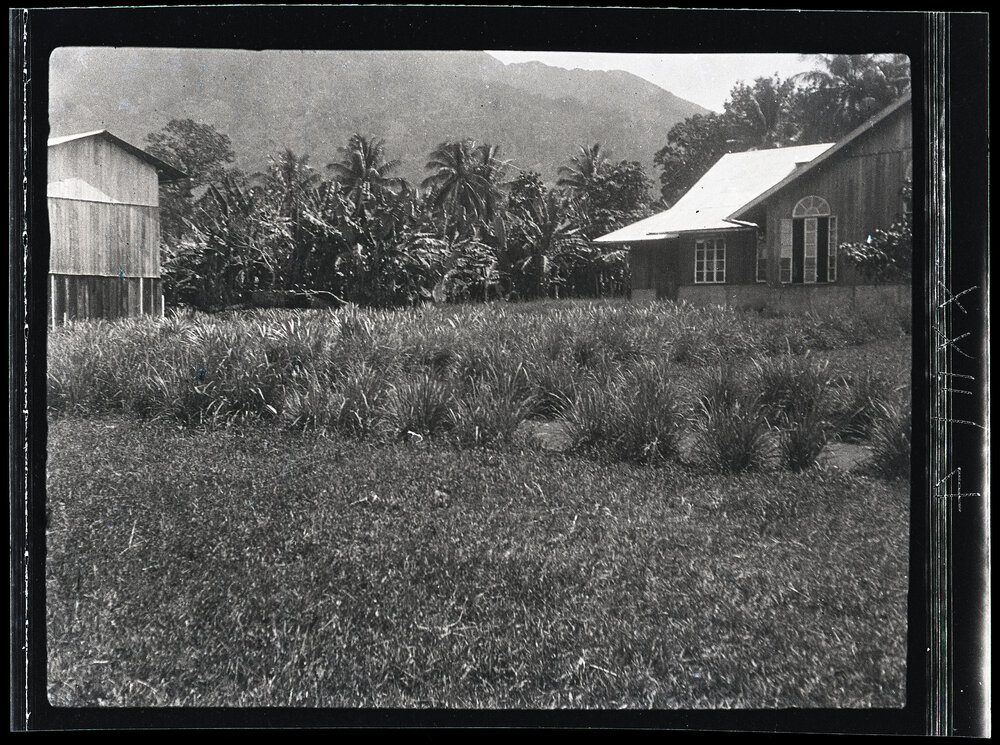 [Manum Island, New Guinea] Manam Mountain from Bieŋ