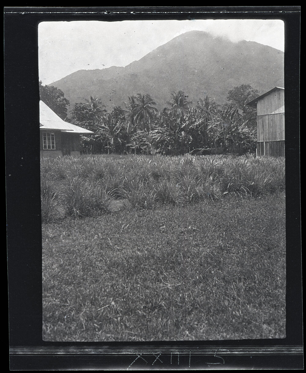 [Manum Island, New Guinea] Manam Mountain from Bieŋ