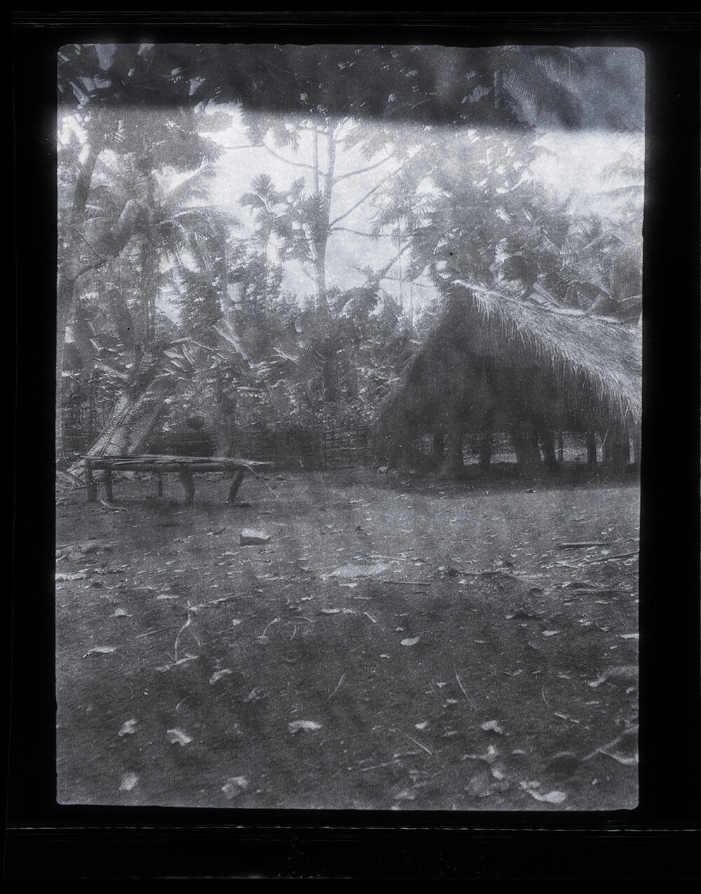 [Manum Island, New Guinea] Tsabo&rsquo;o&rsquo;s Hut in Borautsi&rsquo;i&rsquo;s Homestead Showing the Village Garden Beside it