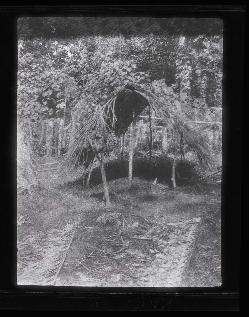 [Manum Island, New Guinea] Ararua&rsquo;s Grave in the Village Cemetery with Areca-nut etc Placed Before it