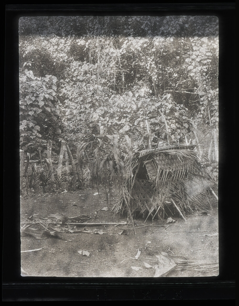 [Manum Island, New Guinea] Maida&rsquo;s Grave