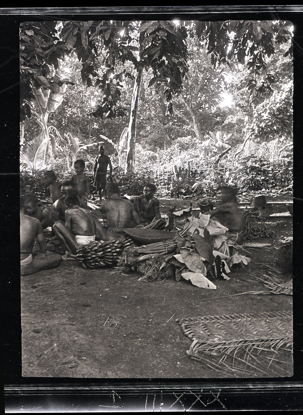[Manum Island, New Guinea] The Food Supplied for the Waia Men who are Engaged in Cracking Galips