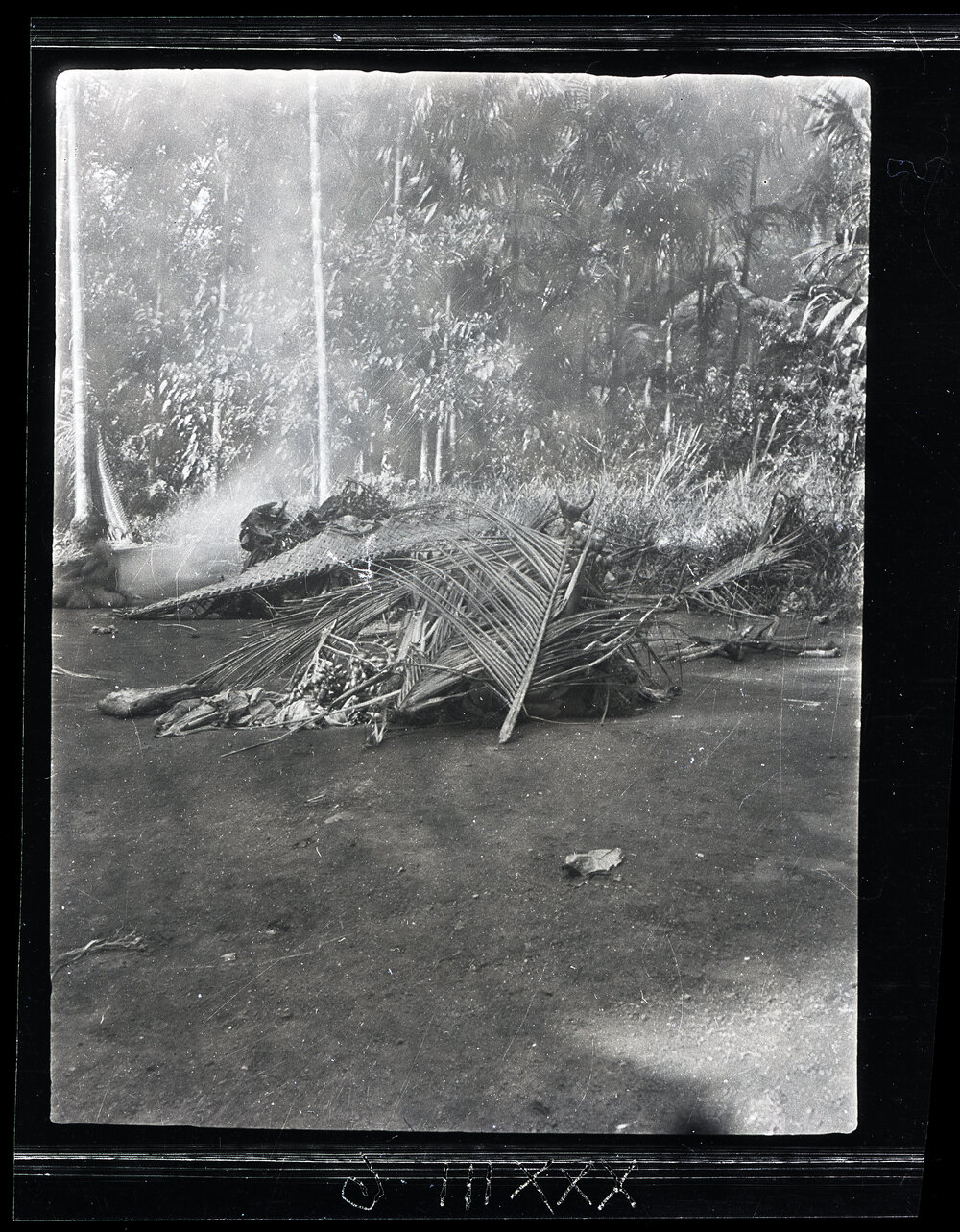 [Manum Island, New Guinea] The Food Supplied for the Women of Madauri and Waia Respectively