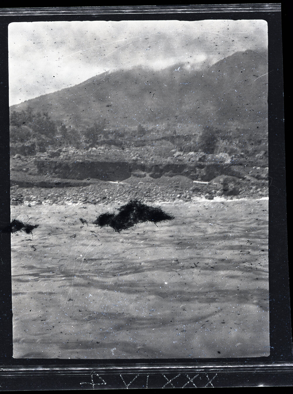 [Manum Island, New Guinea] The Coast between Dugulaba and Warisi Where a Lava Flow has Come Down