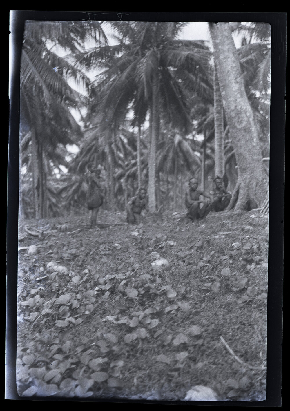 [Manum Island, New Guinea] People from the Ramu Valley Inland from Awar