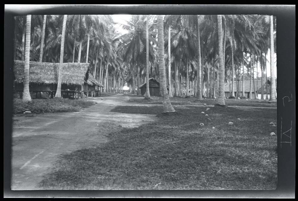 [Manum Island, New Guinea] View of the Married Quarters on Awar Plantation