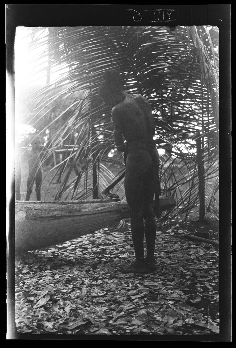 [Manum Island, New Guinea] Zabe Shaping the Head of the new Canoe Preparatory to Carving it