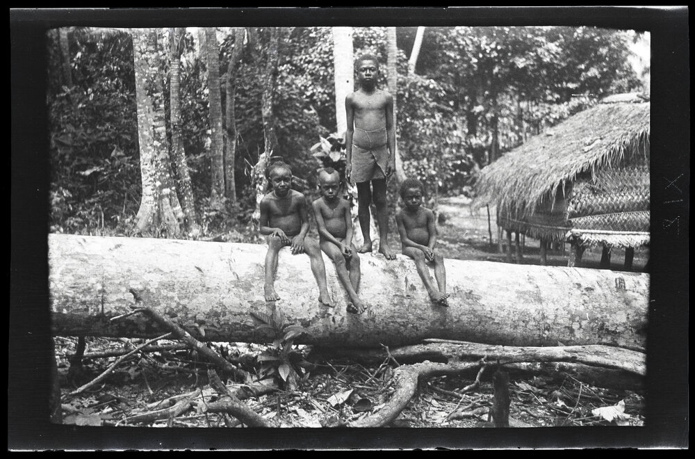 [Manum Island, New Guinea] Apui, Tsu&rsquo;ua and Two Other Boys on the Felled Tree Outside CHW&rsquo;s [Wedgwood] ouse