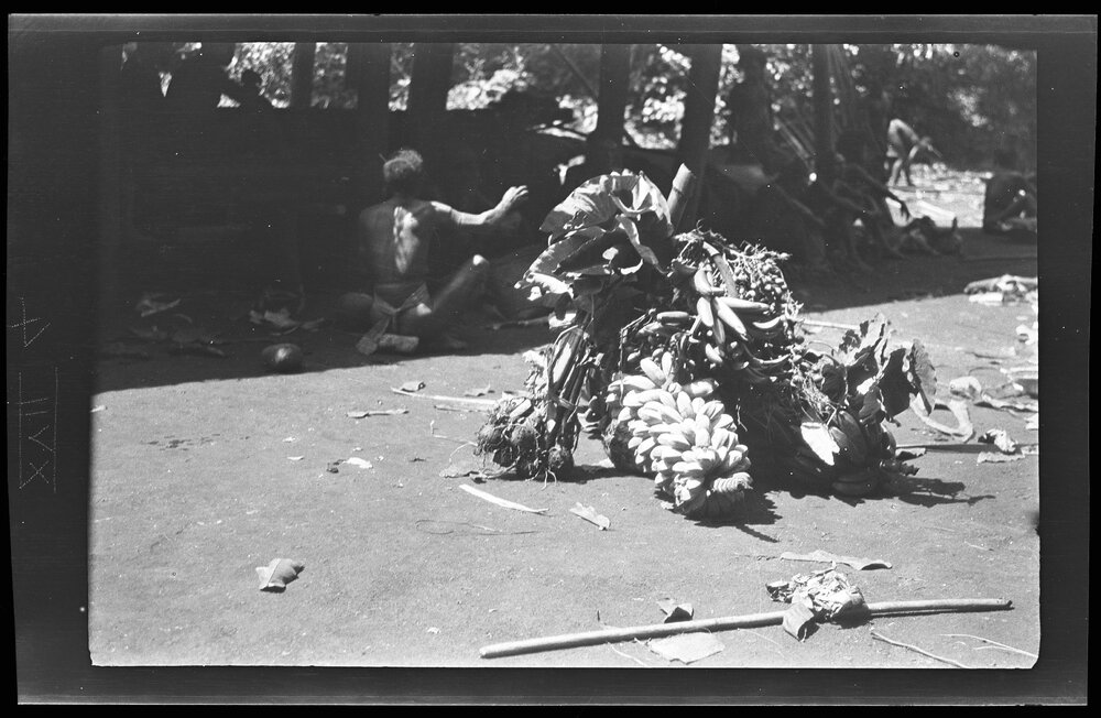 [Manum Island, New Guinea] The Food Supplied by Yabururu and Badiadega