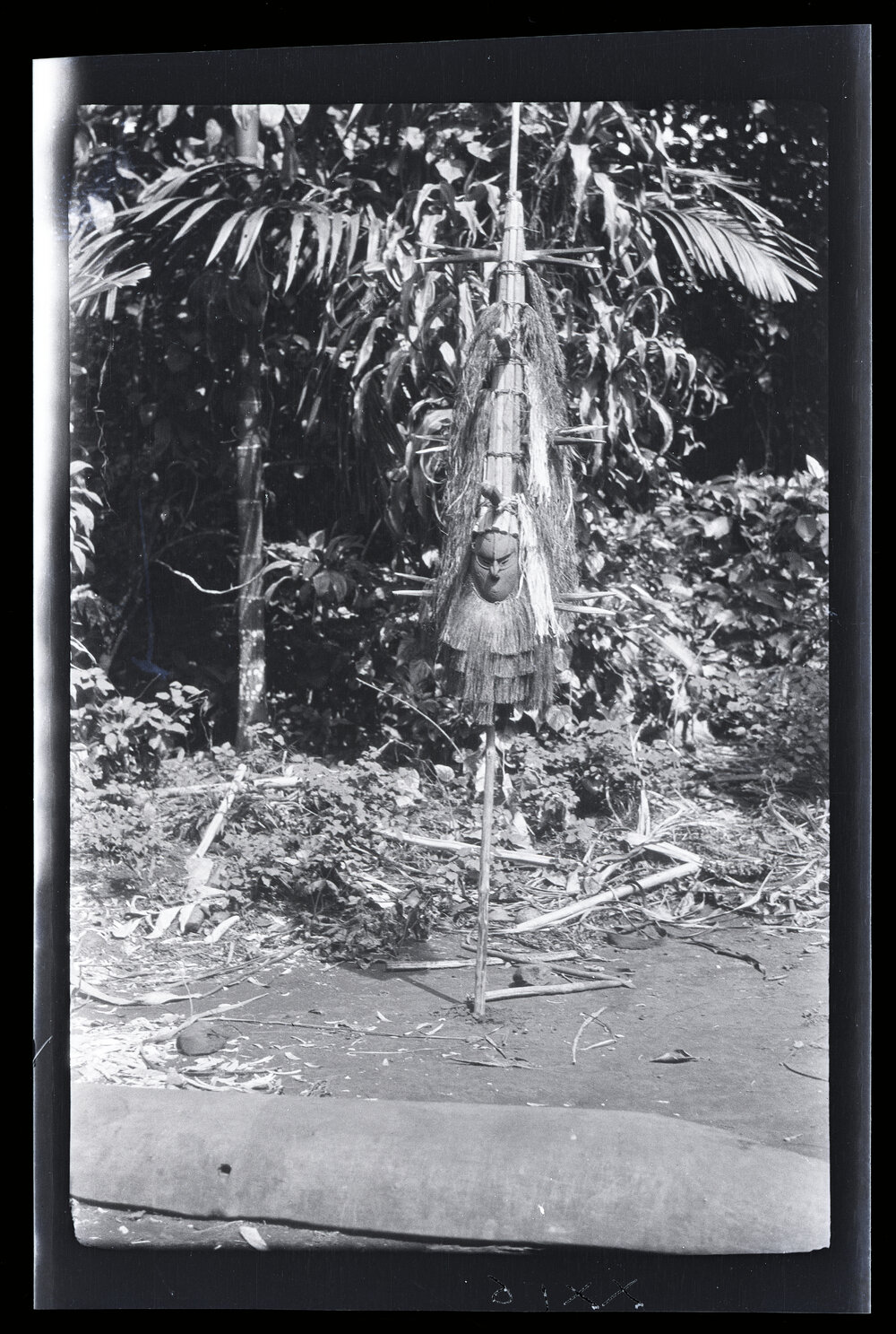 [Manum Island, New Guinea] The laŋolaŋo of Yabururu Showing the morupu and the baligo which have been hung on it