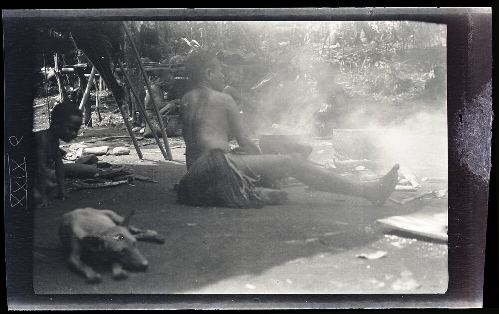 [Manum Island, New Guinea] Idoge Cooking Pig with which Later to Feed the Workers