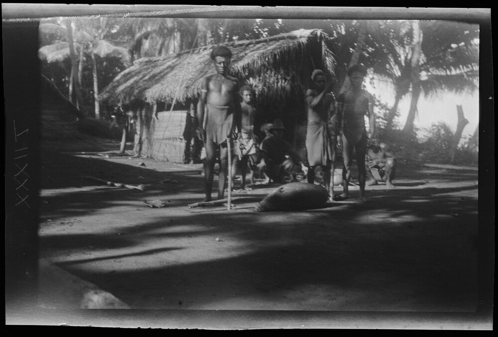 [Manum Island, New Guinea] In Mamboti&rsquo;s Homestead. Fastening a Pig to the Ground