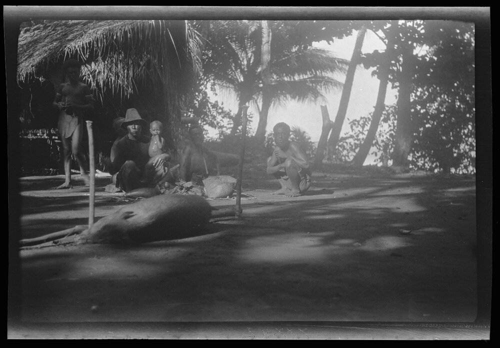 [Manum Island, New Guinea] In Mamboti&rsquo;s Homestead. The Pig is now Fastened Securely