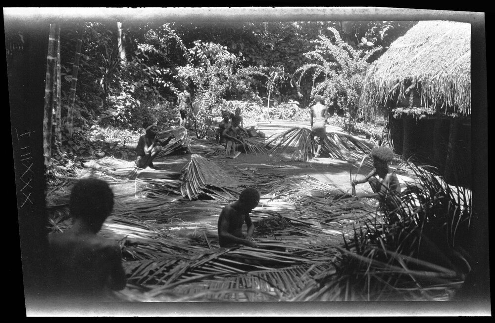 [Manum Island, New Guinea] Plaiting Coconut Leaves for Rethatching Abaraŋug&rsquo;s House