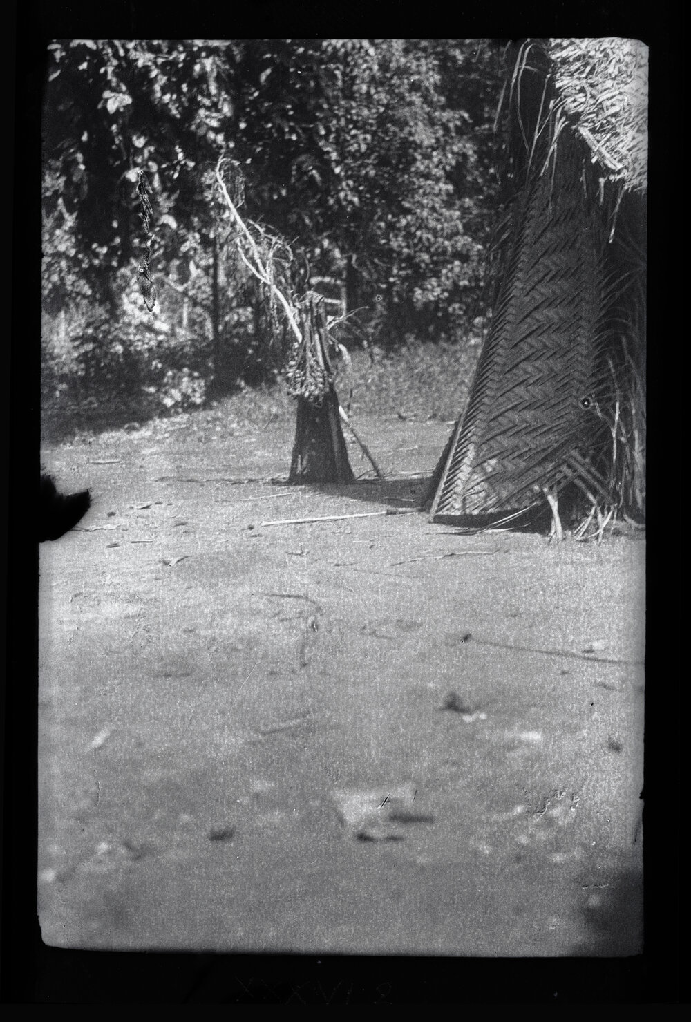 [Manum Island, New Guinea] The mombwa dau Outside the Hut of the Dead Ararua, with his Loincloth, Arecanut etc