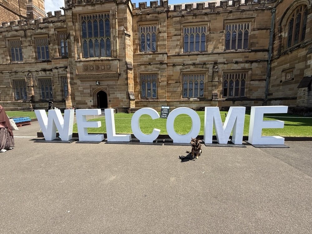 Semester 1 2025 Welcome Fest