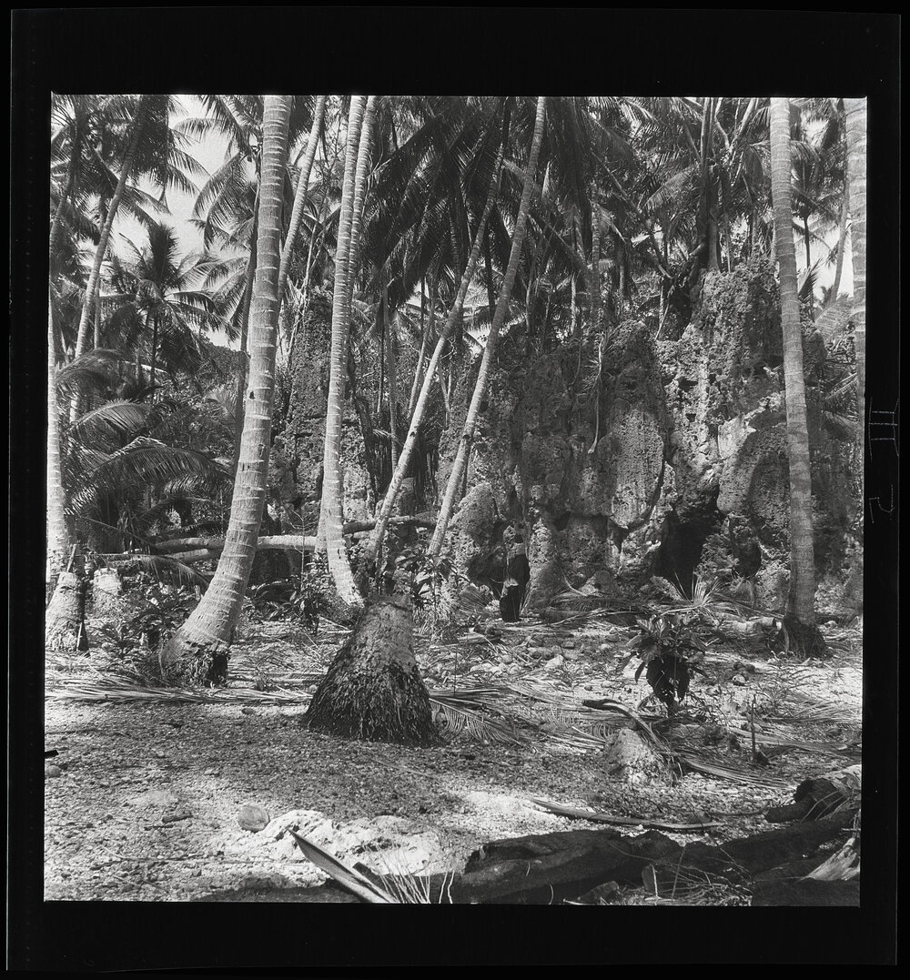 [Narau] Coral Pinnacles in the Coconut Belt (Meneŋ District)