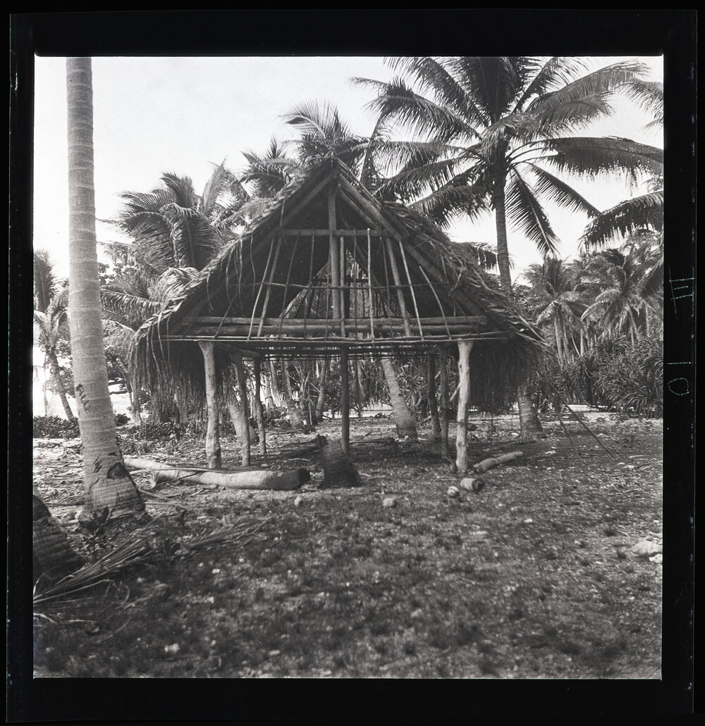 [Narau] A House in the Process of Being Built. Pandanus Leaf Thatch