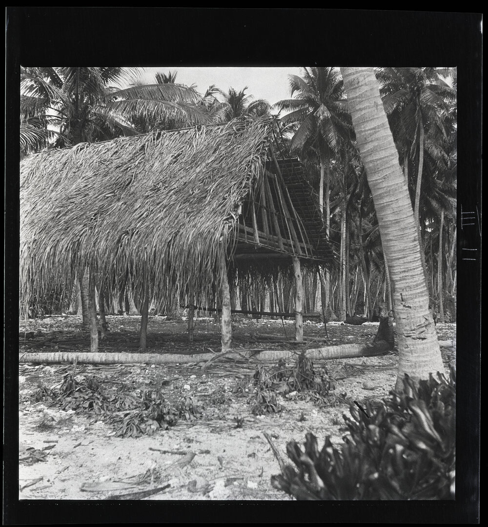 [Narau] A House in the Process of Being Built. Pandanus Leaf Thatch