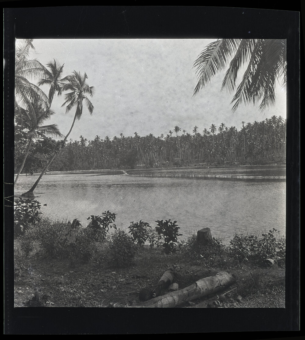 [Narau] Buoda Lagoon Showing Divisions Made of Coconut Leaves bet&shy;ween the Different 'Ponds' in the Lagoon