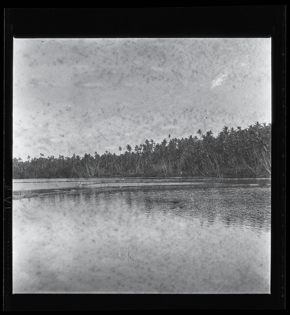 [Narau] Buoda Lagoon Showing Divisions Made of Coconut Leaves bet&shy;ween the Different 'Ponds' in the Lagoon