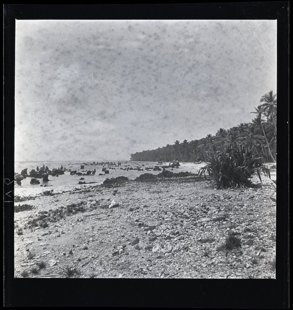 [Narau] Looking Along the Coast Towards Yarren from Near the Leper Station