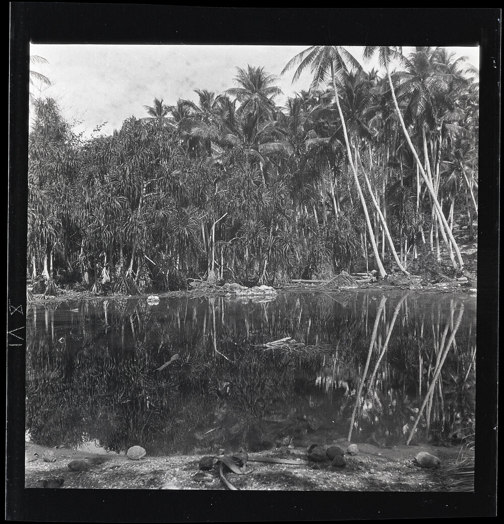 [Narau] A Lagoon in Meneŋ in the Coconut Belt Fringed with Pandanus Palms