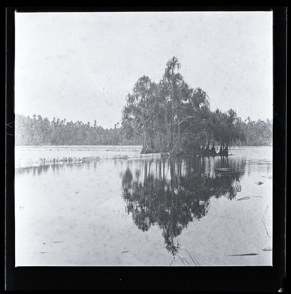 [Narau] Buoda Lagoon from the Western End Showing Islet of Pandanus Trees